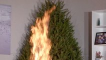 How to prevent a Christmas tree fire this year