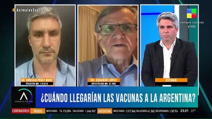 ¿Cuándo llegarían las vacunas a la Argentina?