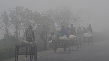 Icy winds sweep North India, Cold wave in Delhi