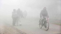 Cold wave grips North India