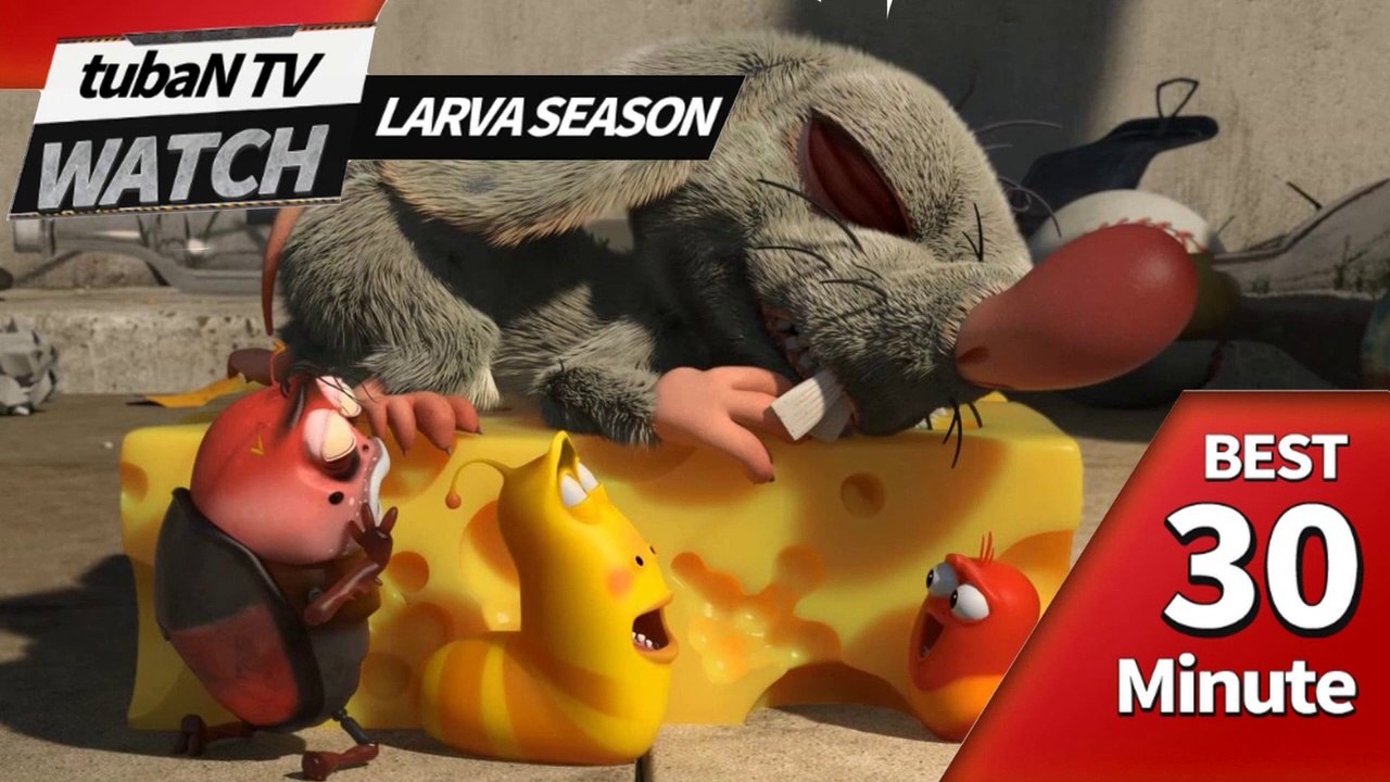 RANDOM PLAY I Watch 30 minutes a day!! I Ep.37I Larva Cartoon I Larva Official Channel