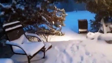 Princess Ella and Madra Playing In The Snow