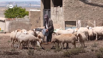 Ancaman Bencana Kekeringan di Tunisia Teratasi Lewat Manajemen Air