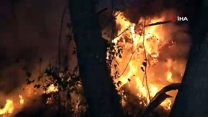 Bursa’da çiftlik alevlere teslim oldu...15 büyükbaş kurtarılamadı