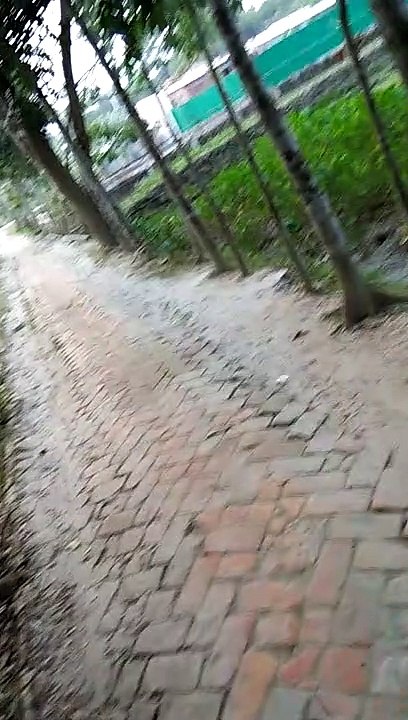 Village Road.