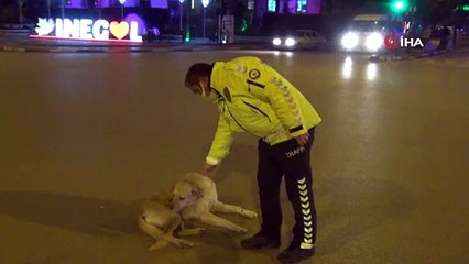Polis memuruyla köpeğin gülümseten görüntüleri