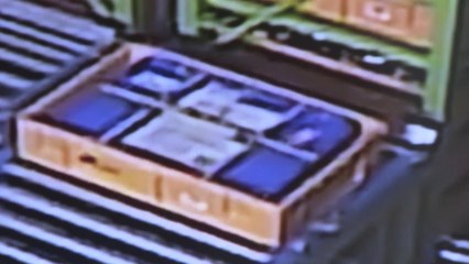세계가 주목하는 'K-종자보존'..."영하 20도에 100년 보존" / YTN