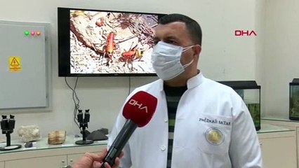 Türkiye için korkutan ''istila'' uyarısı