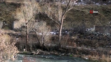 - Ermenistan işgalinden kurtarılan İmambinesi köyü görüntülendi