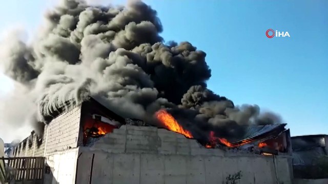 Adana’da fidan serasında yangın... Alev alev yanan seradan yükselen siyah dumanlar gökyüzünü kapladı