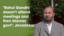 ‘Rahul Gandhi doesn’t attend meetings and then blames govt’: Javadekar