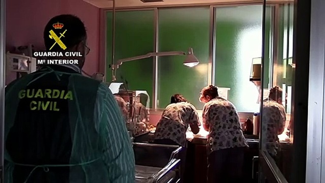 Detenidos por aprovechar la inmigración ilegal para dar a luz en España a niños y obtener la nacionalidad