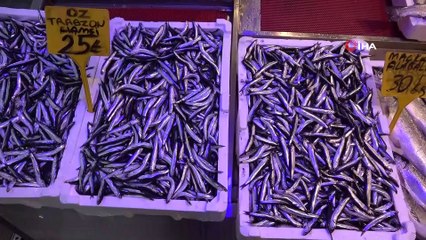 Hamsi fiyatıyla şaşırtmaya devam ediyor