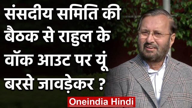 Rahul Gandhi को Prakash Javadekar की नसीहत, संवैधानिक संस्थाओं का आदर करे | वनइंडिया हिंदी