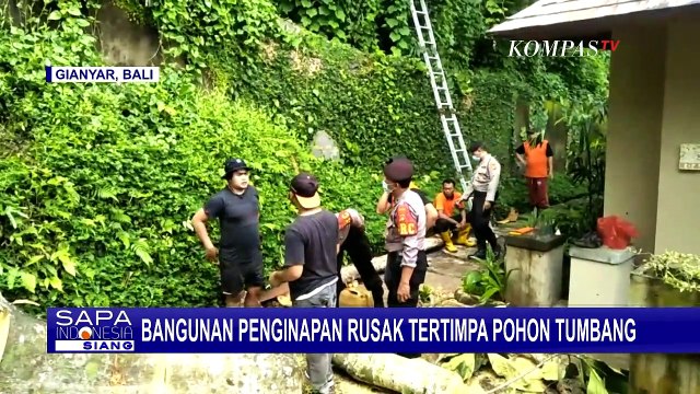 4 Penginapan di Bali Ini Rusak Tertimpa Pohon Tumbang