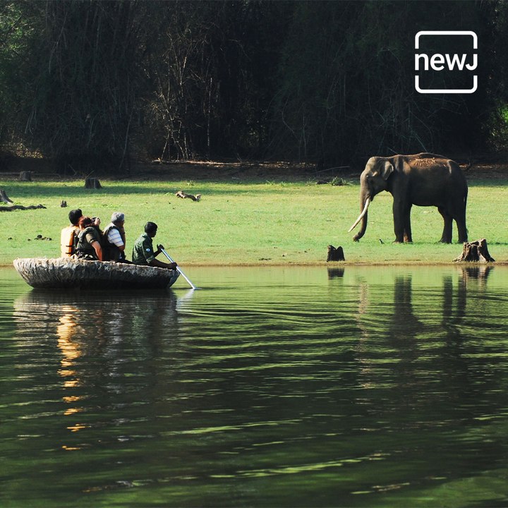Kabini- The Wilderness Wonder