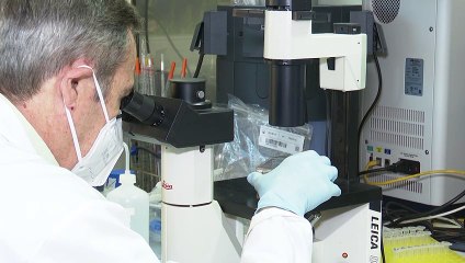 La UE empezará la vacunación coordinada a partir del 27 de diciembre