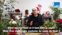 Roland Motte, jardinier : comment choisir son sapin de Noël