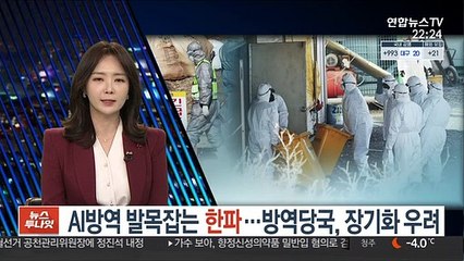 AI방역 발목잡는 한파…방역당국, 장기화 우려