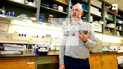 EEUU hace la guerra a los mosquitos con repelente que te vuelve "invisible"