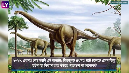 Triceratops Dinosaur Caught Alive | Viral Video: জাভার মোজেসমি ফরেস্ট পার্কে ধরা পড়েছে ডাইনোসার?