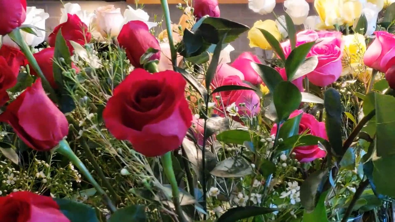 Beautiful Roses in the world HD video