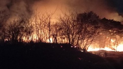 경북 울진군 울진읍 읍남리에서 야간 산불 / YTN