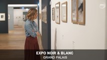 Regards d'artistes : Pénélope Bagieu dans l'expo Noir&Blanc