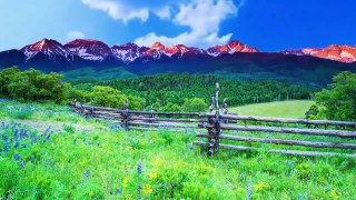4K Mount Rainier National Park - Nature Relax Video, Summer Scenery -1 HRS