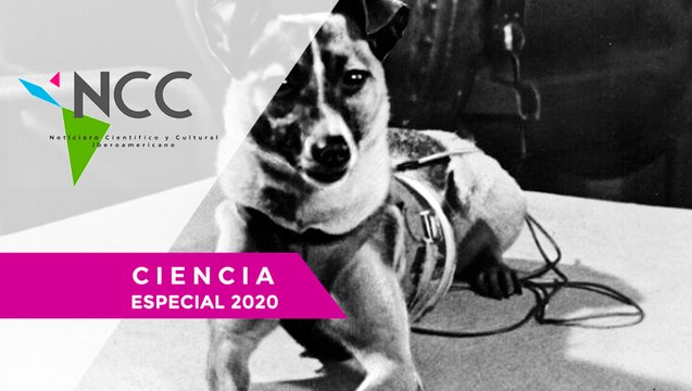 ¿Cuá­les fue­ron los pri­me­ros se­res vi­vos en lle­gar al es­pa­cio?