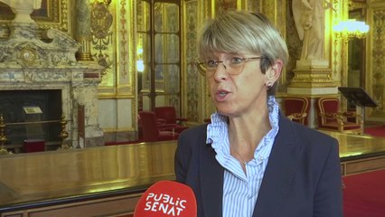 Annick Billon: "Les critères qui caractérisent le viol sont inadaptés pour de jeunes enfants"