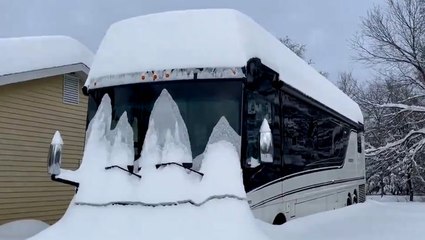 "Holy cow! It's up to the tires!"