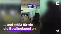 Ein Hund spielt Bowling