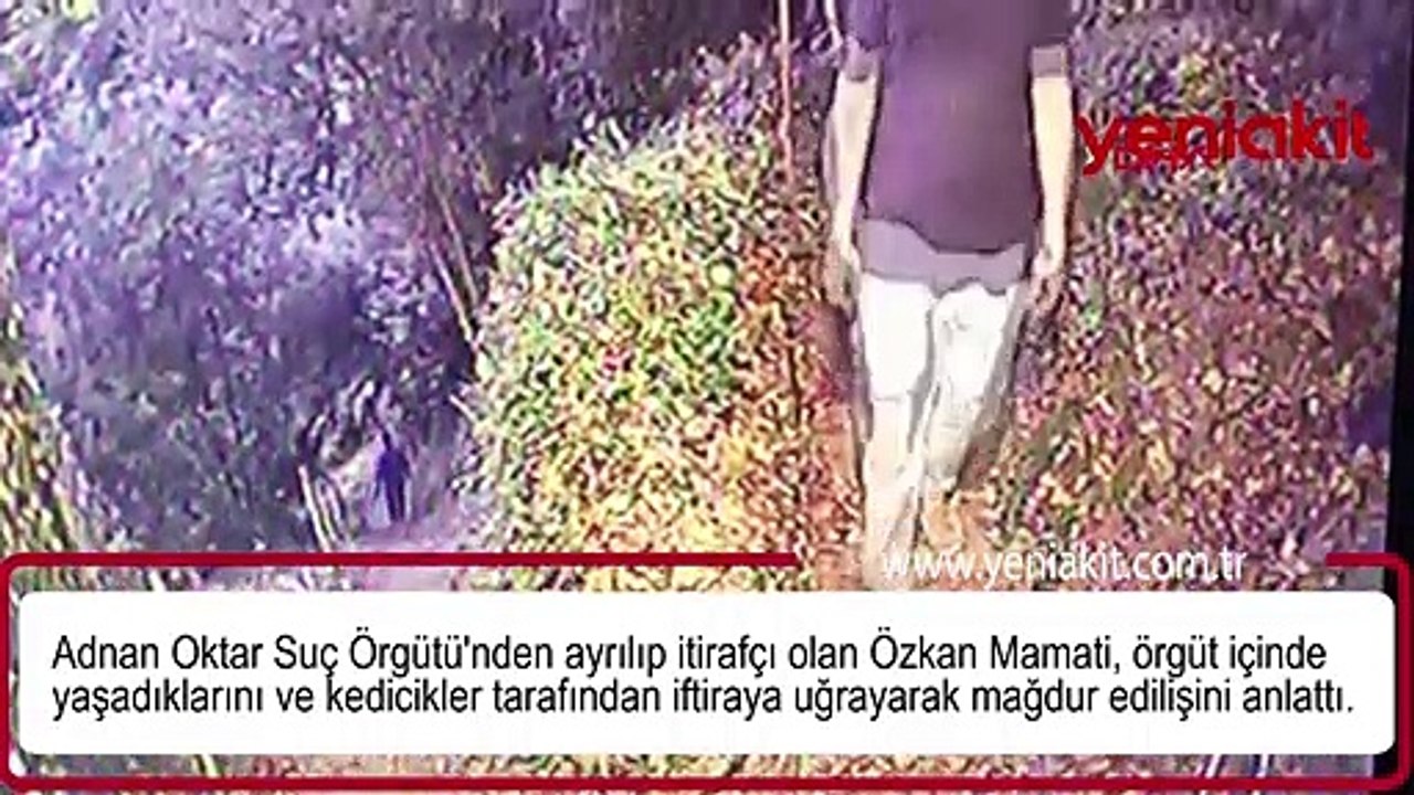 46 kedicik mağdur etmiş... İtirafçı olan şahıstan ağızları açık bırakan açıklamalar