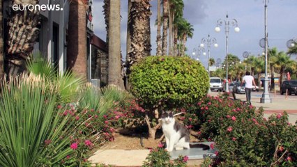 Κύπρος: 457 νέα περιστατικά της πανδημίας