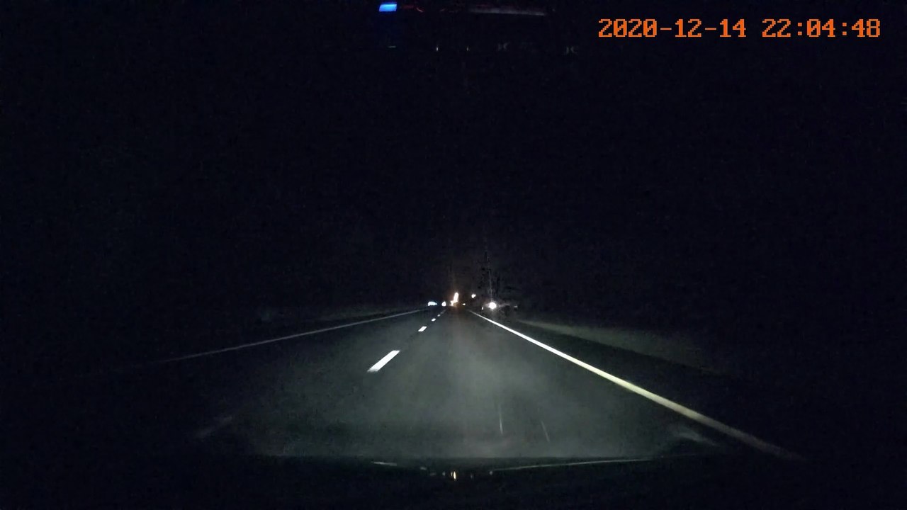 Car Collides with Crossing Cows