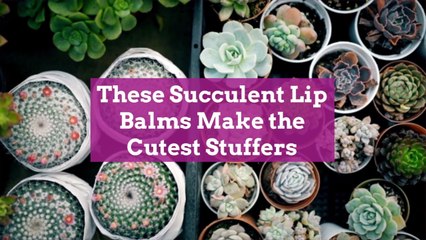 These Succulent Lip Balms Make the Cutest Stocking Stuffers