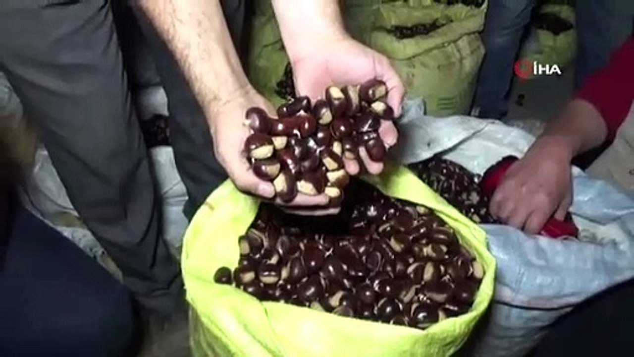 Türkiye'nin kestane pazarı kebapçılarla dolup taşıyor