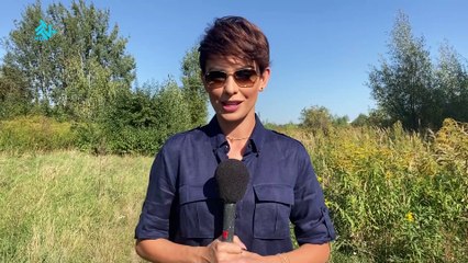 Dorota Gardias 2020-09-21