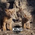 The Lion King Kalki Mass Bgm  Lion Always King