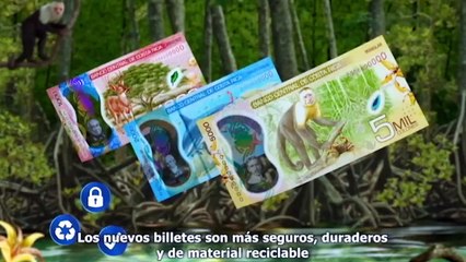 Costa Rica Noticias - Estelar Jueves 17 Diciembre 2020