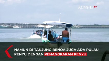 Mengunjungi Pulau Penyu, Pusat Penangkaran Penyu di Tanjung Benoa Bali