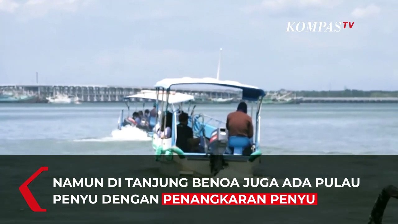 Mengunjungi Pulau Penyu, Pusat Penangkaran Penyu di Tanjung Benoa Bali