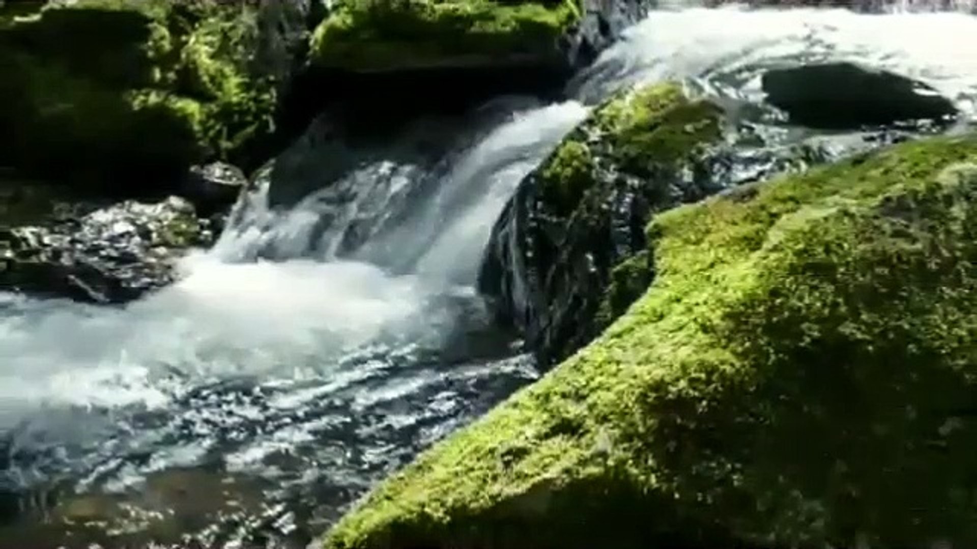 MOUNTAIN STREAM【Healing Music】【Relax Music】【Natural Sound】