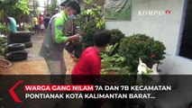 Mewujudkan Ketahanan Pangan Warga Melalui Kampung Sayur