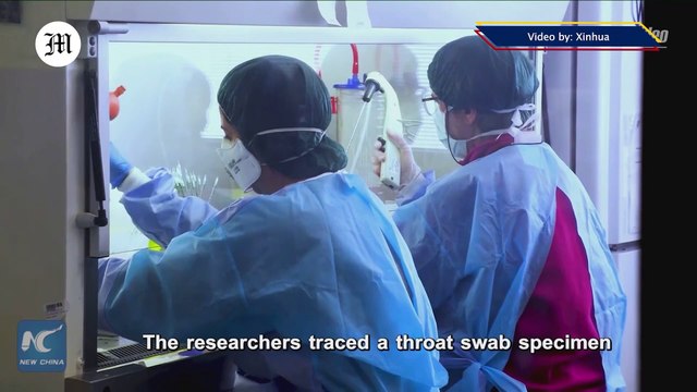 Latest research finds early spread of COVID-19 in Nov. 2019 before 1st reported case in Italy