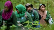 Indonesia’s female forest guardians fight illegal poaching, logging and gender stereotypes
