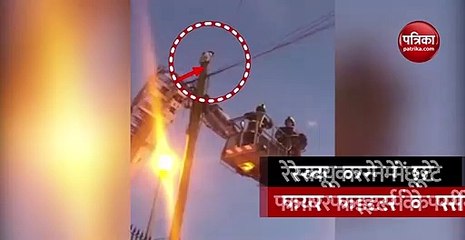 Video: जब बिजली के खंबे पर चढ़ गई बिल्ली तो रेस्क्यू करने में कैसे छूट गए फायर फाइटर्स के भी पसीने