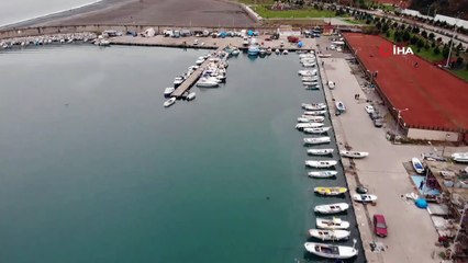Hamside tehlikeye dikkat çekip böyle uyardı: 'Karadeniz nadasa bırakılmalı'
