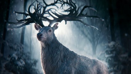 Shadow and Bone Seizoen 1 (2021)